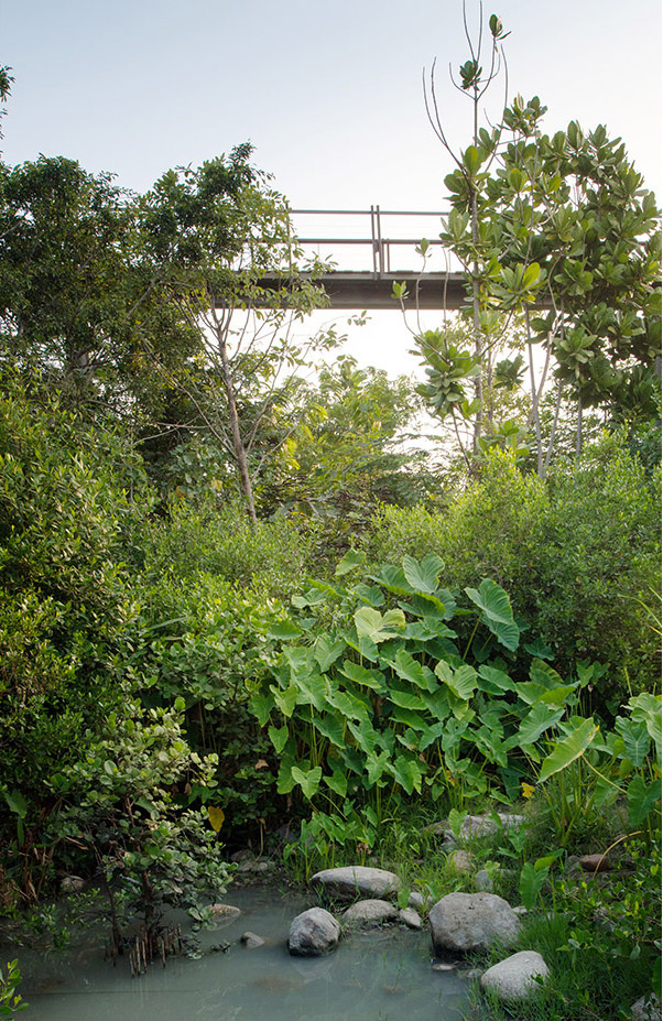 2016-asla-MetroForestProject_14