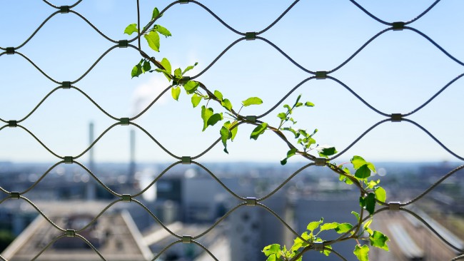 30-M6B2 Tower of Biodiversity, Paris by Maison Edouard Francois