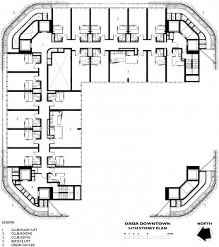Layout1