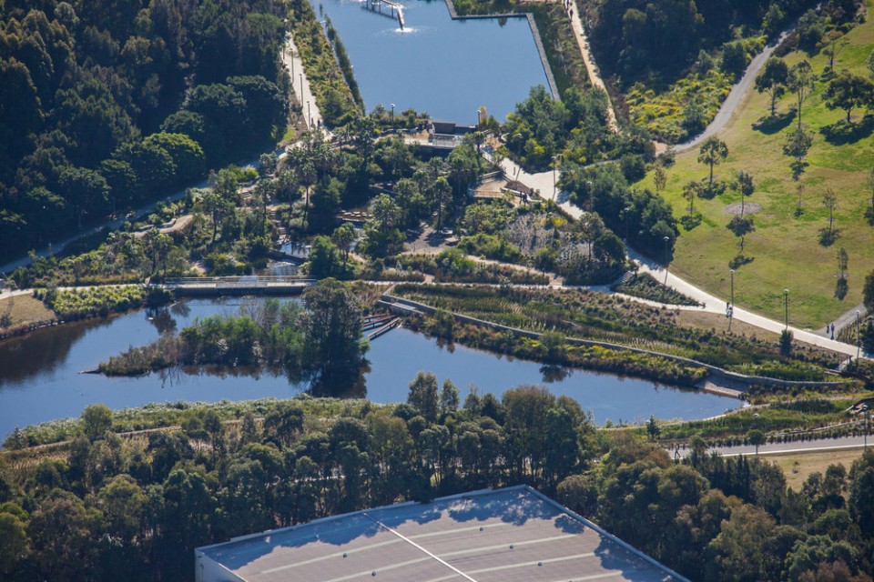 1-30332-Sydney park water reuse project_30332_Turf design studio