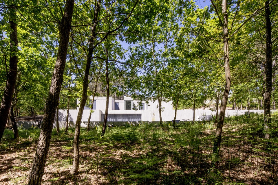 2-Quinta do Carregal by waataa