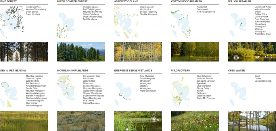 2016 asla MontaneLandscape_11