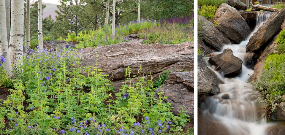 2016 asla MontaneLandscape_13