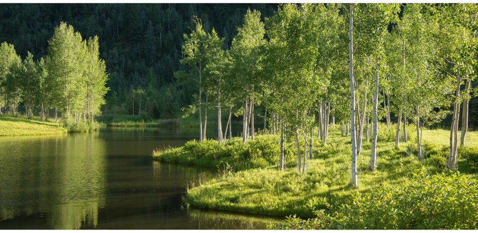 2016 asla MontaneLandscape_9