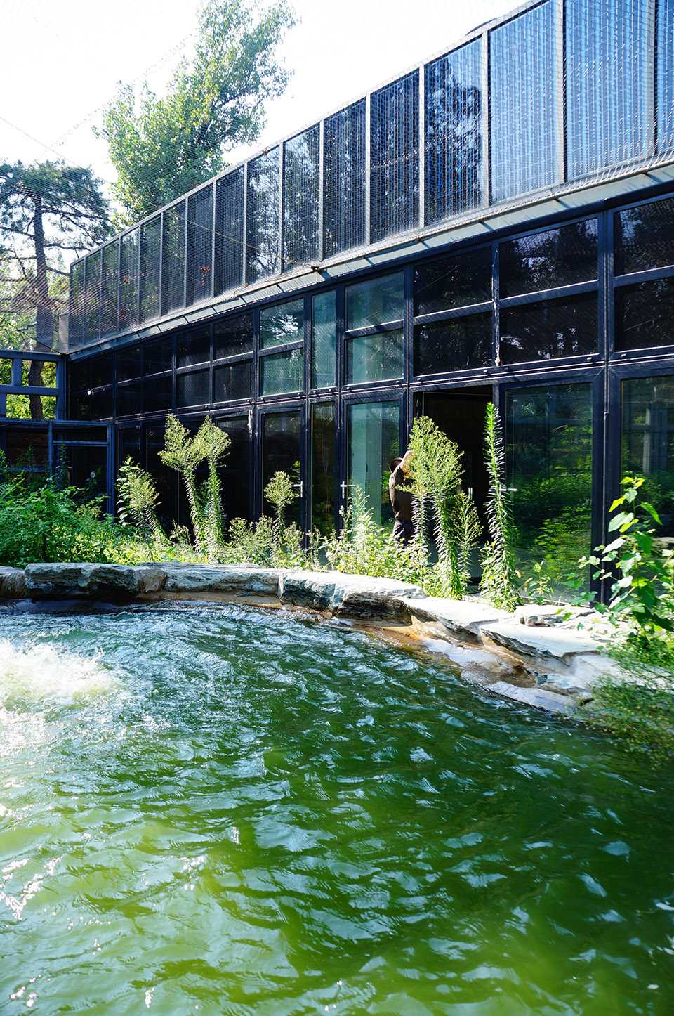 北京动物园水禽馆 / 素朴建筑 - 谷德设计网