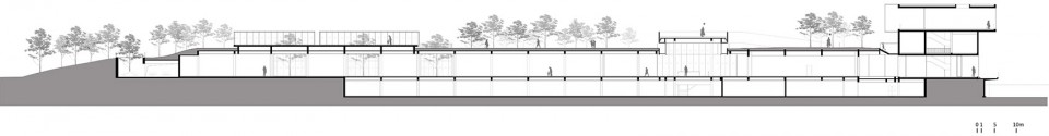 SECTION