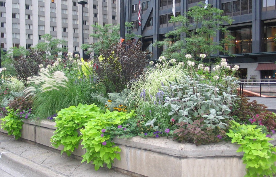 MichiganAvenue_10