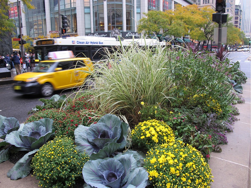 MichiganAvenue_13