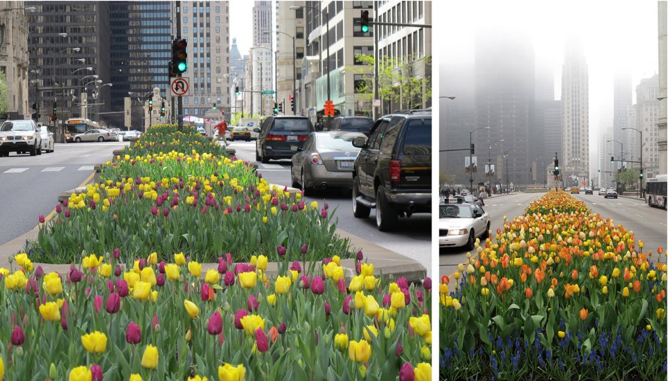 MichiganAvenue_6