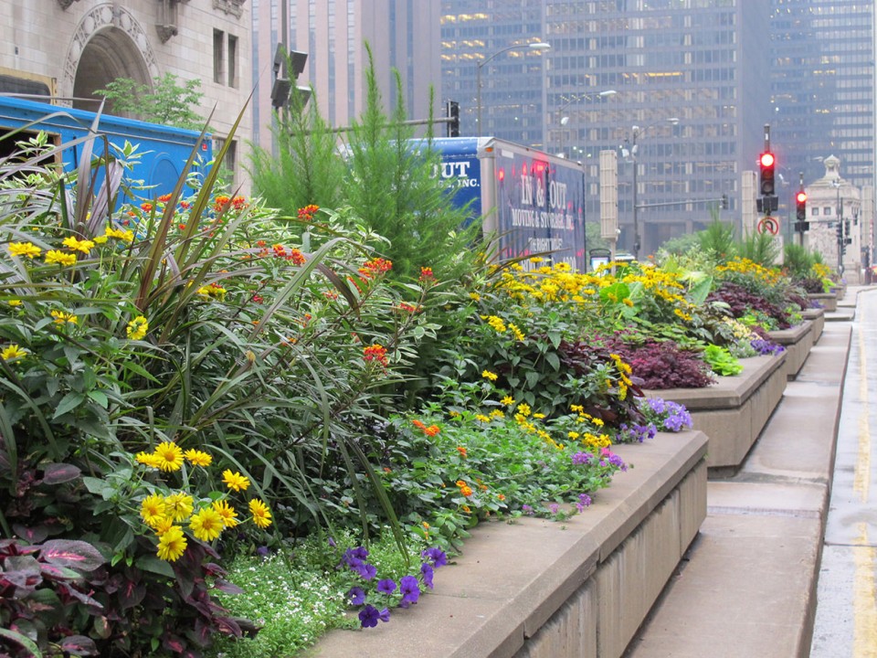MichiganAvenue_8