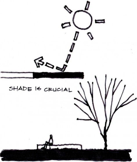 The University of Arizona Poetry Center by Line and Space-15