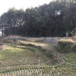 遵义尧龙山村村标设计 / 赵金祥