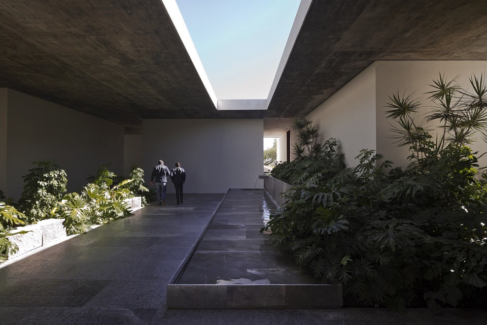 003-Next Hydroponic Plant by ccArquitectos