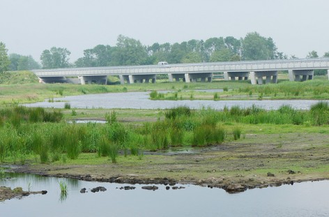003115image