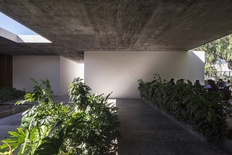 005-Next Hydroponic Plant by ccArquitectos