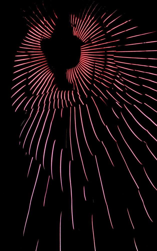 005-|surrealist portraits with light patterns by Dani Olivier
