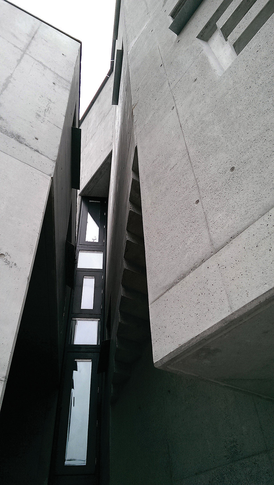 Galway Picture Palace by T de Paor 谷德设计网