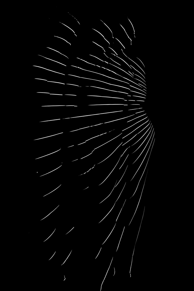 008-|surrealist portraits with light patterns by Dani Olivier