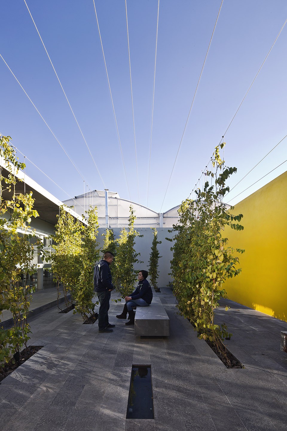 012-Next Hydroponic Plant by ccArquitectos