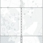 在海外专辑第五十三期 – 张洋