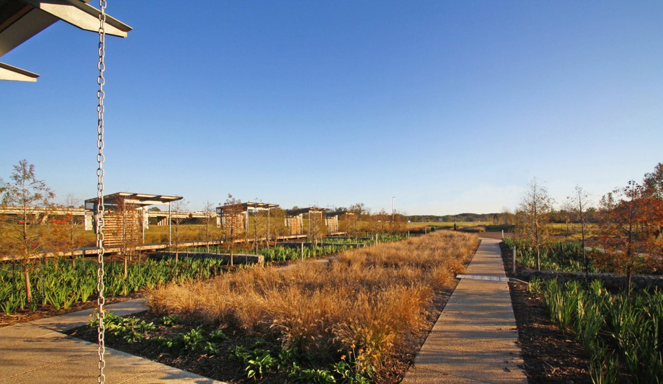 2016 ASLA ConvergingEcologies_13