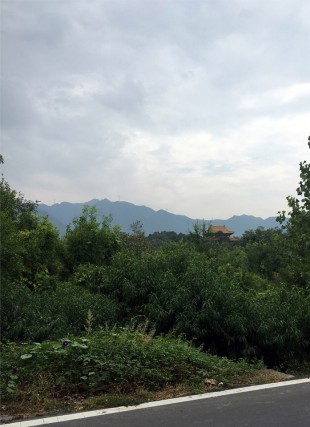 21-Yi She Mountain Inn by DL Atelier