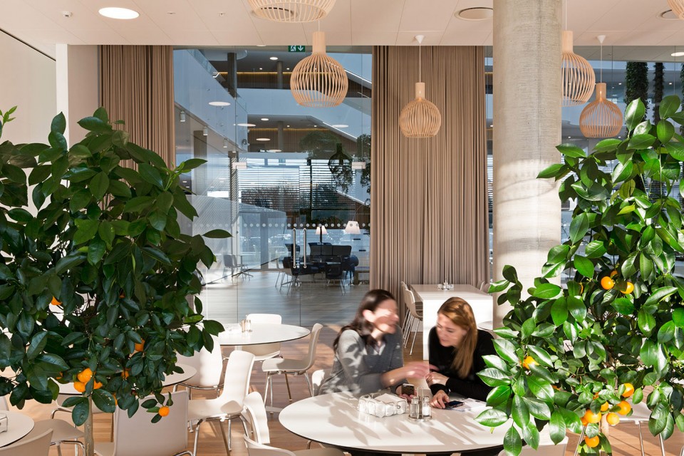 3-PLH_DSV_05_VELUX