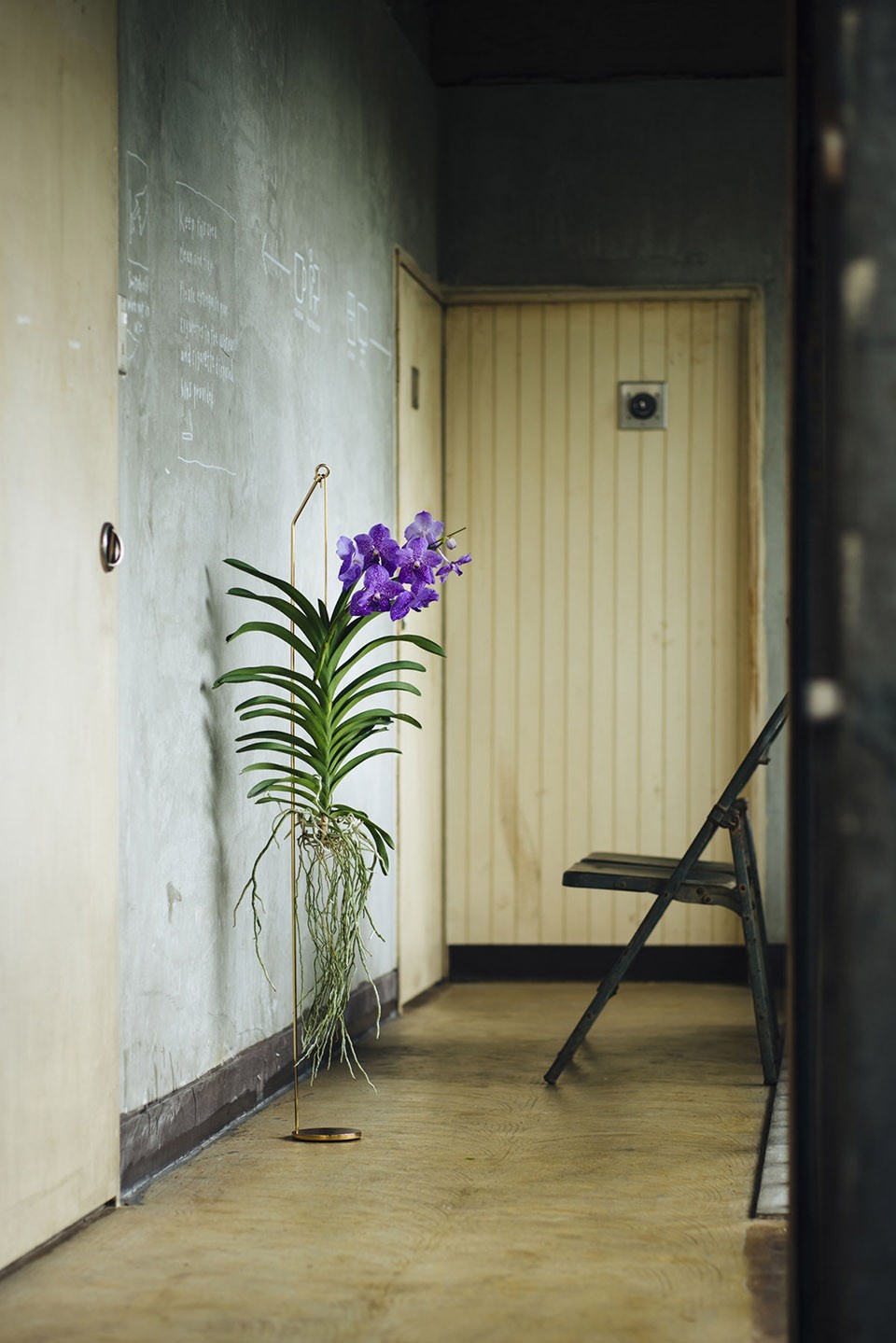 Botanicalhanger_02_recompress