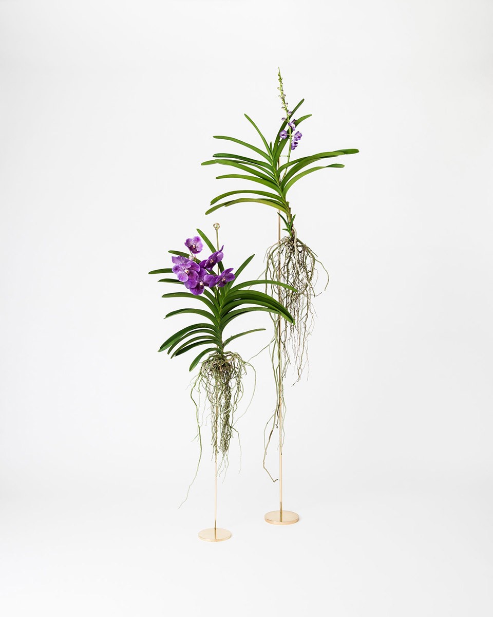 Botanicalhanger_04_recompress