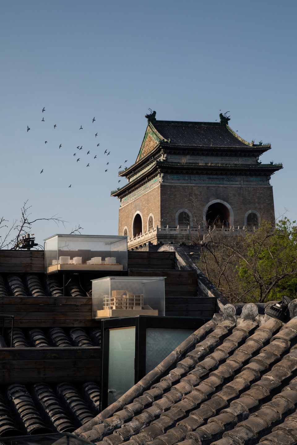 remembering the past in buro ziyu zhuang gulou no 7 courtyard