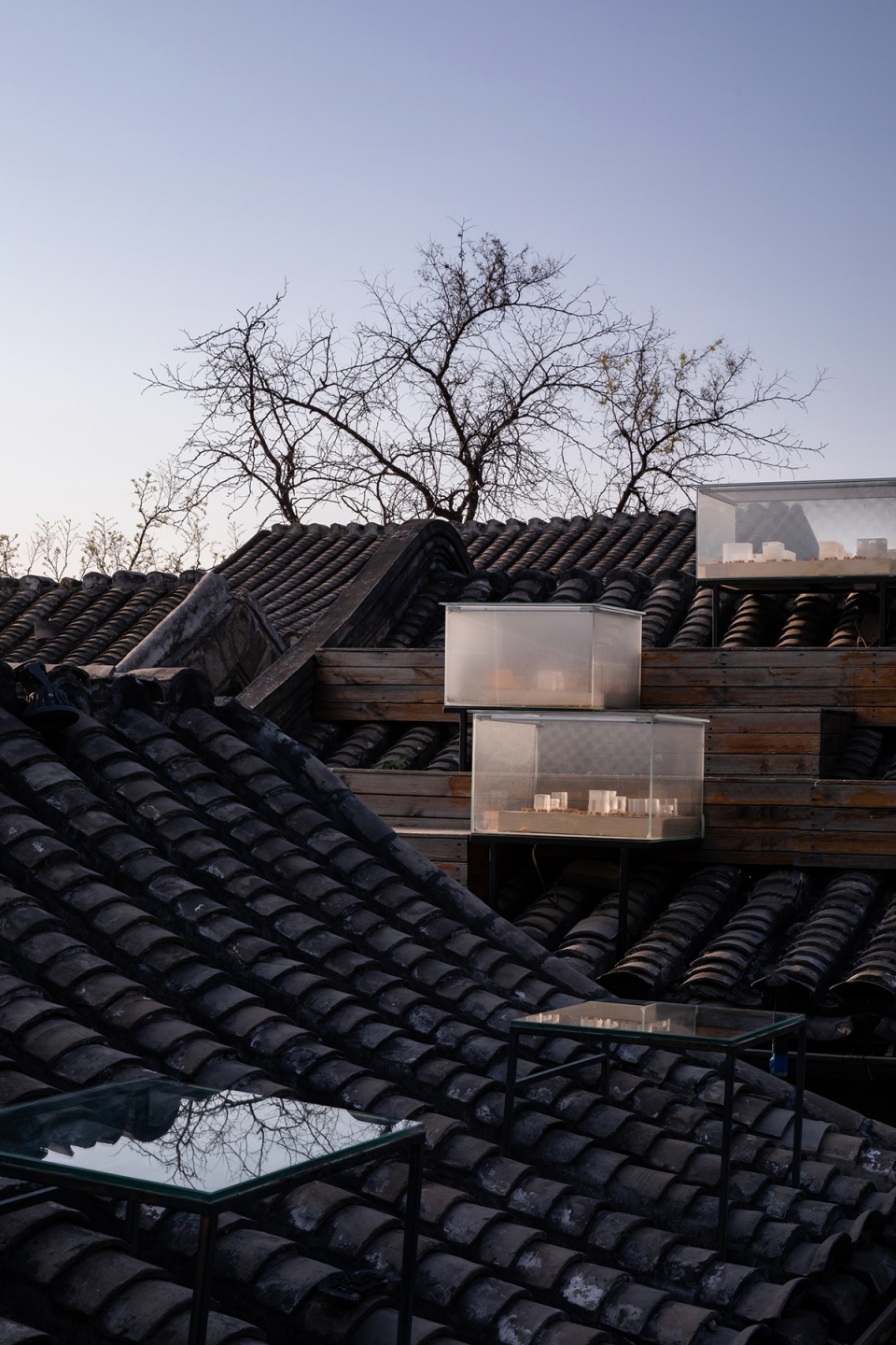 remembering the past in buro ziyu zhuang gulou no 7 courtyard
