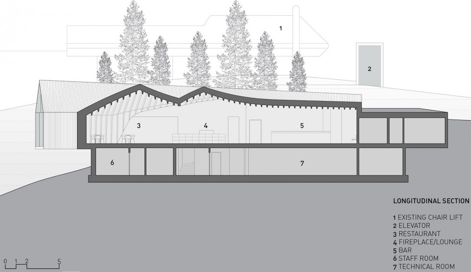 longitudinal_section_200