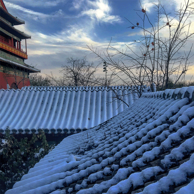remembering the past in buro ziyu zhuang gulou no 7 courtyard