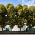 能阅读也能野餐聚会睡大觉的法国蒂翁维尔媒体图书馆 / Dominique Coulon & associés