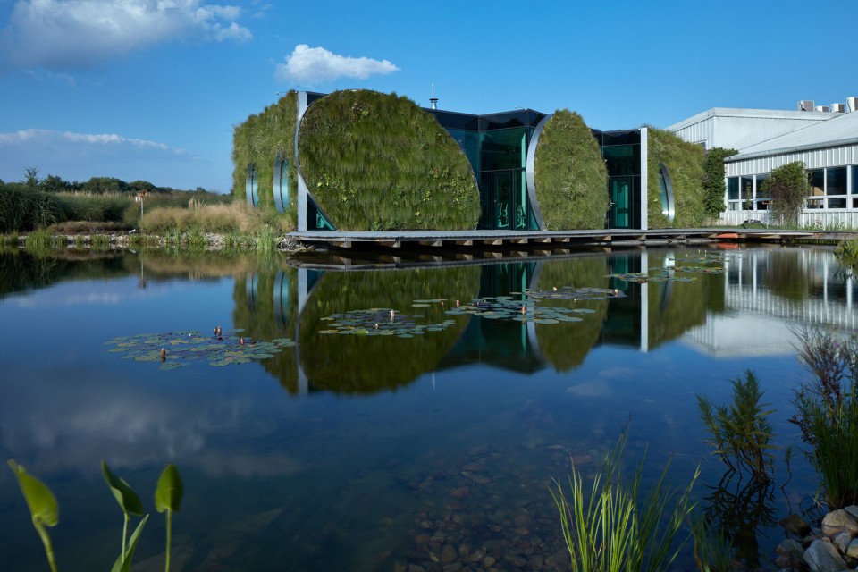 1-external5 wetland_LIKO NOE_BoysPlayNice