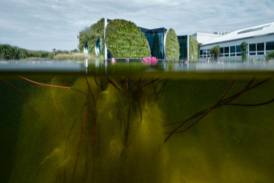 1-external6 wetland_LIKO NOE_BoysPlayNice