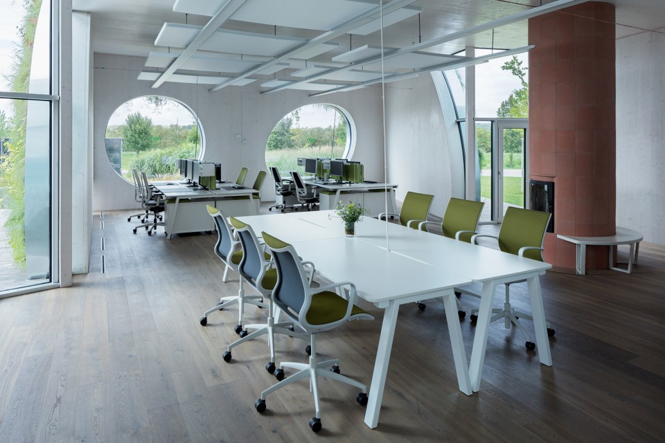 3-office_LIKO NOE_BoysPlayNice
