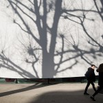 能阅读也能野餐聚会睡大觉的法国蒂翁维尔媒体图书馆 / Dominique Coulon & associés