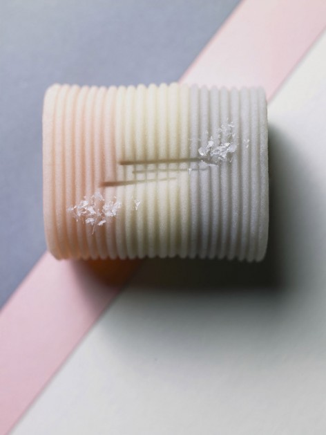 5-5Wagashi No.1“Spring_ikkoan_nanki