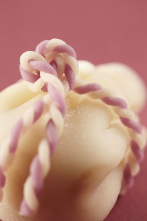 5-8Wagashi No.46_ikkoan_nanki