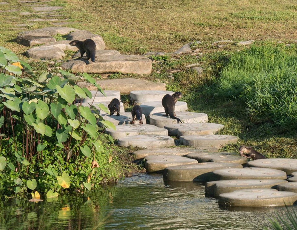 BishanPark_13