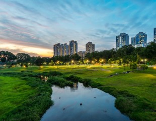 BishanPark_15-960x742