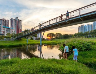 BishanPark_9-960x742