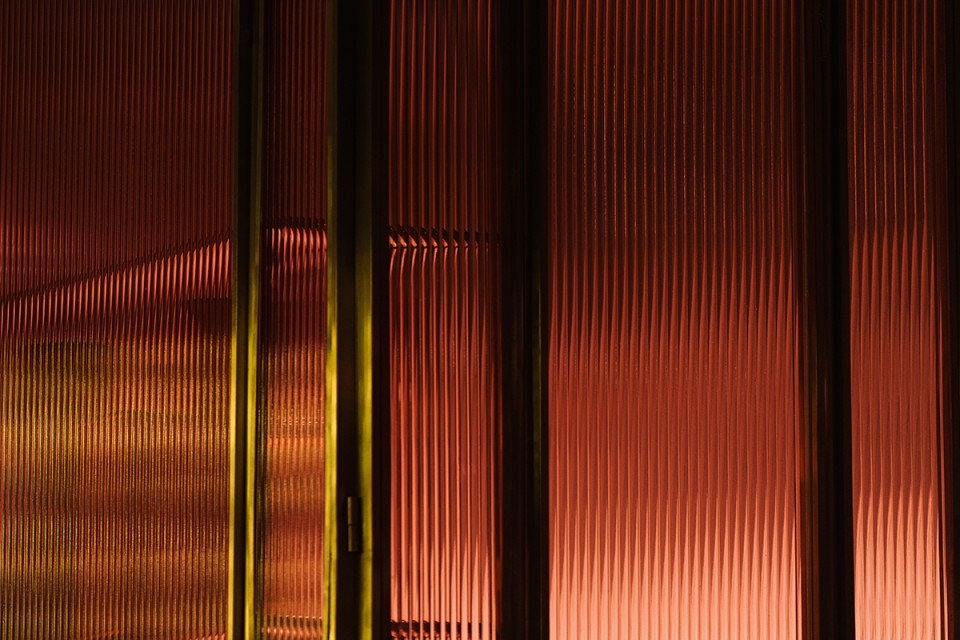 005-VIDA