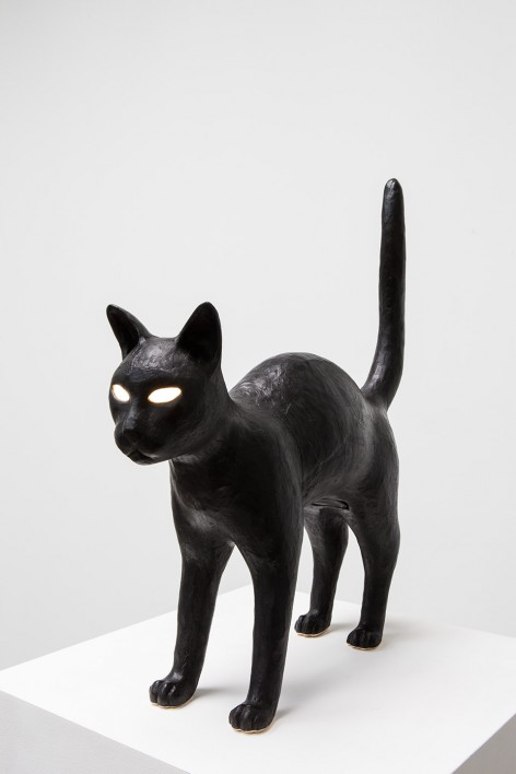 013-Let There be Art LightSTUDIO JOB_Black Cat_01