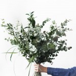 CASA FLORA酒店：如当地人一样体验当代威尼斯 / Casa Flora