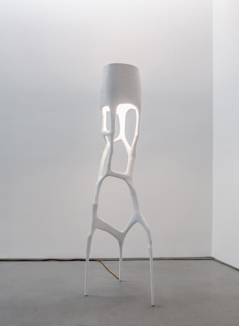 014-Let There be Art LightTREVELYAN_Circumspect I_01