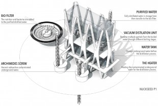 042-Zhang Xu-P3-15 Nukeseed 1