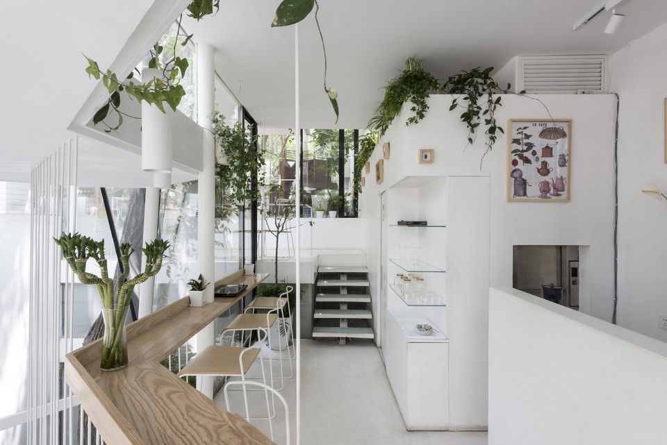 3-面向树和小院子的座位_TiensTiens cafe_TAO