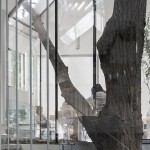 TIENSTIENS in Beijing, China by Trace Architecture Office